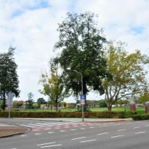 ObjectFoto.45031.#.3.JPG